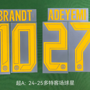 2024 2025 Dortmund away ADEYEMI 2024-25 Jersey number