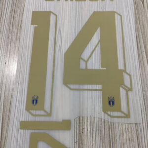 Italy 2022 football star CHIESA #14 soccer number