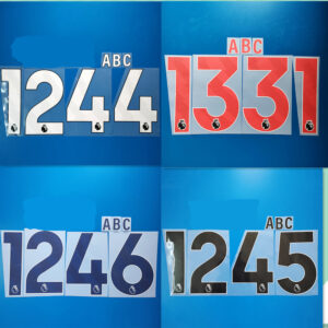 2324-now Premier league Plastic material customize Number