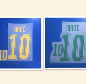 2026 World Cup Senegal national football team MANE #10 soccer number
