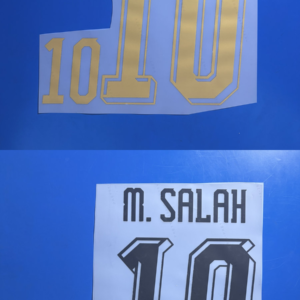 2026 World Cup Egypt national football team M.salah #10 soccer number